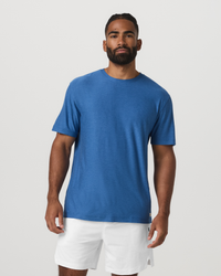 Court Blue Heather