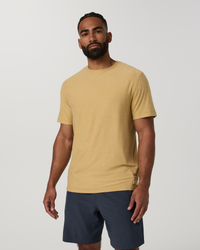 Golden Brown Heather
