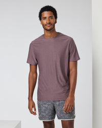 Elderberry Heather
