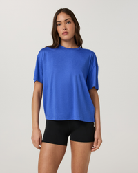 Electric Blue Heather